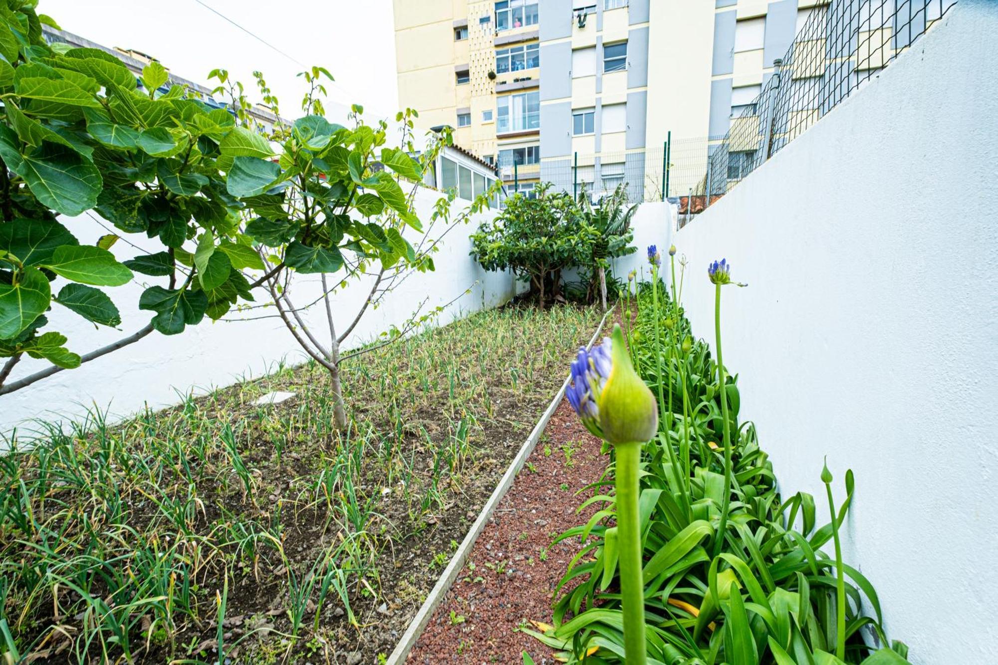 Sailorman And Friends Villa Ponta Delgada  Exterior photo